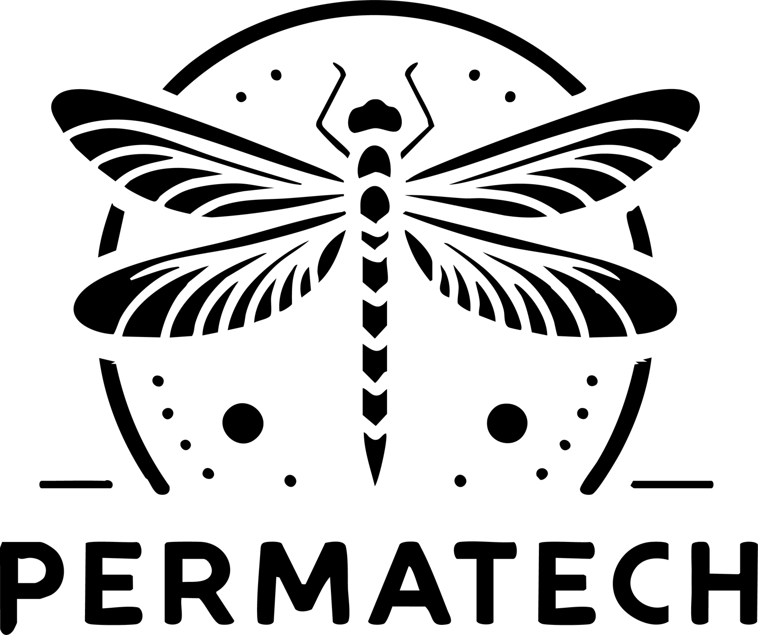 permatech logo, dragon fly