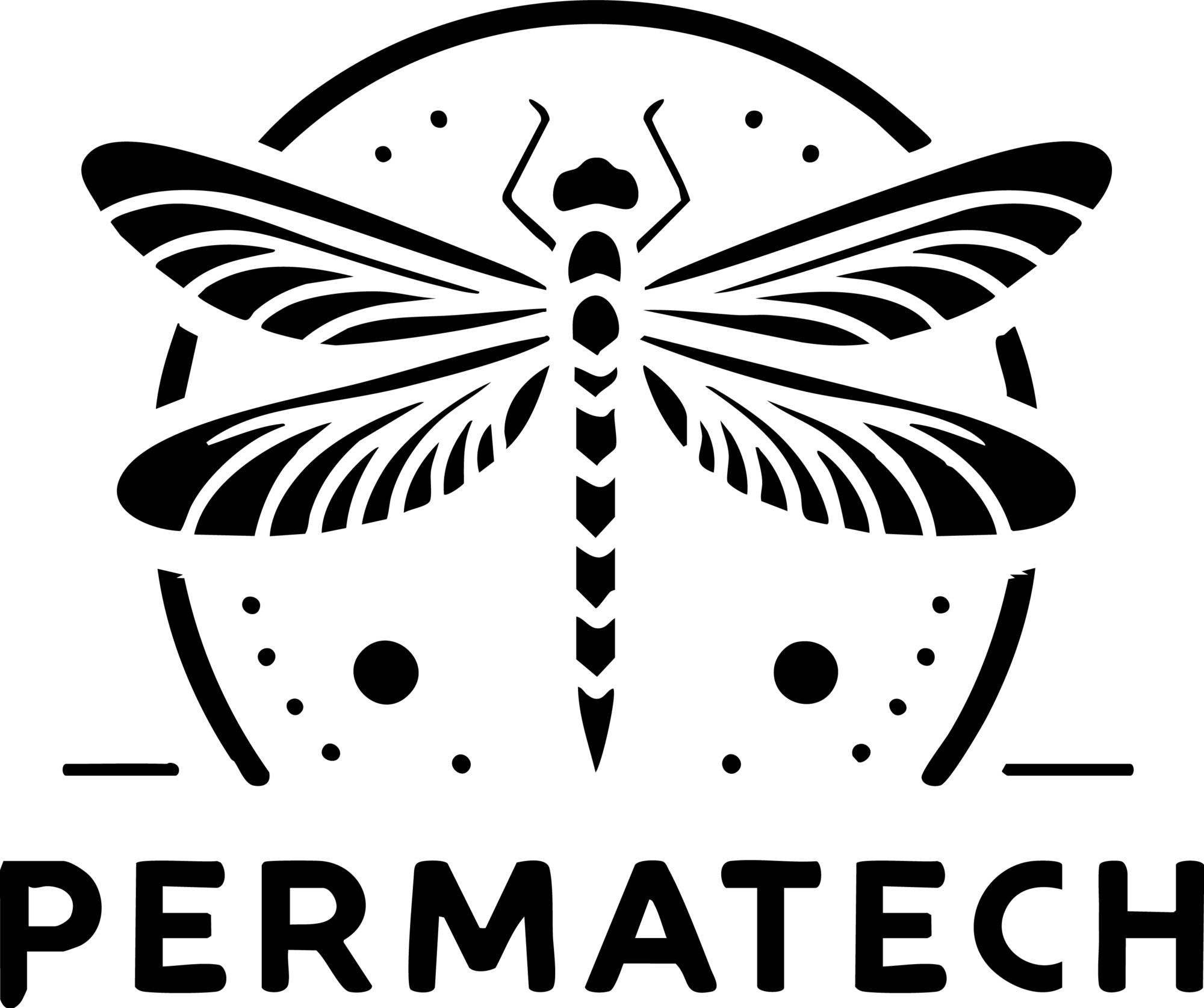 permatech logo, dragon fly